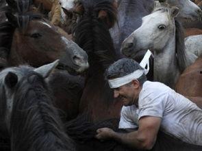 殊色驯野,探寻异域风情与野性魅力的交融之旅