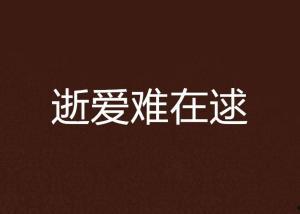 逝爱难寻,探寻爱情消逝的轨迹与启示