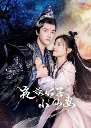 夜族公子小仙妻,夜族公子与仙妻的奇幻恋曲